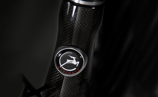fiets gazelle