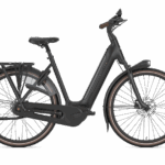 Gazelle GRENOBLE C8+ HMB Lage Instap